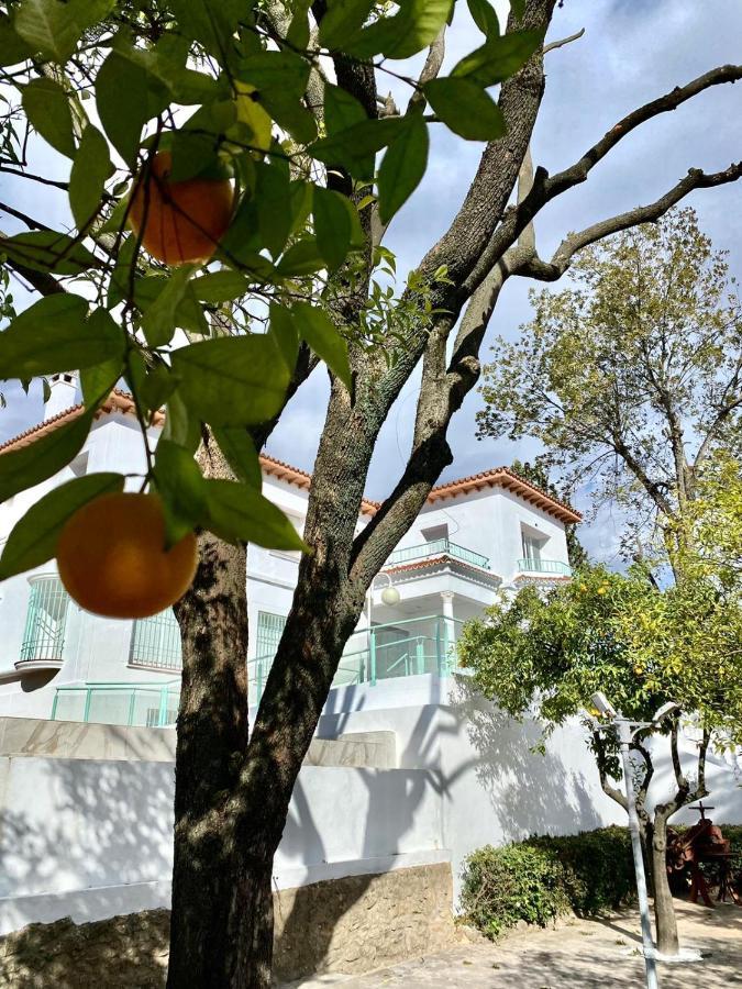 Nuevo Los Almendros 301 Complejo Turístico Córdoba Exterior foto